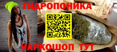 гашик Обнинск