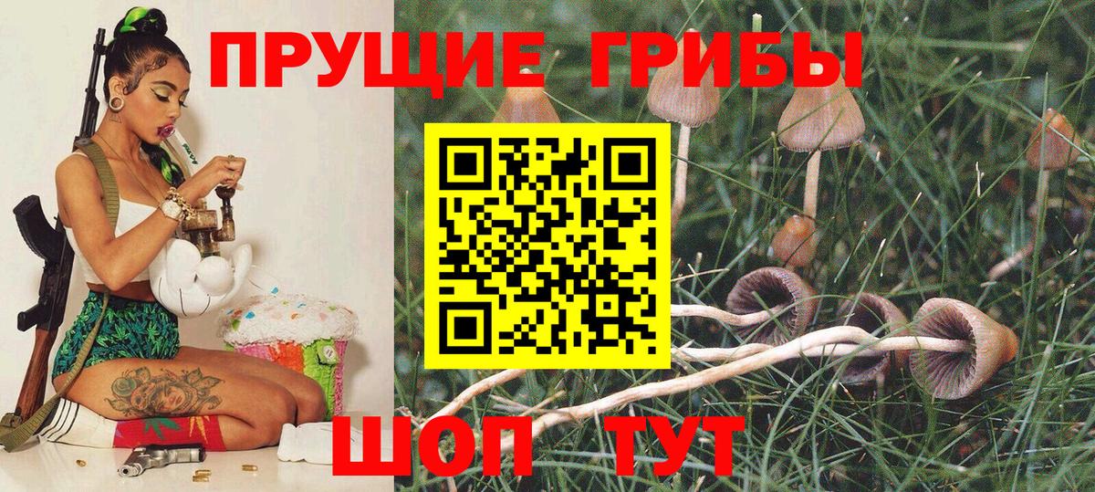 Псилоцибиновые грибы MAGIC MUSHROOMS  Вход с VPN  Сунжа 